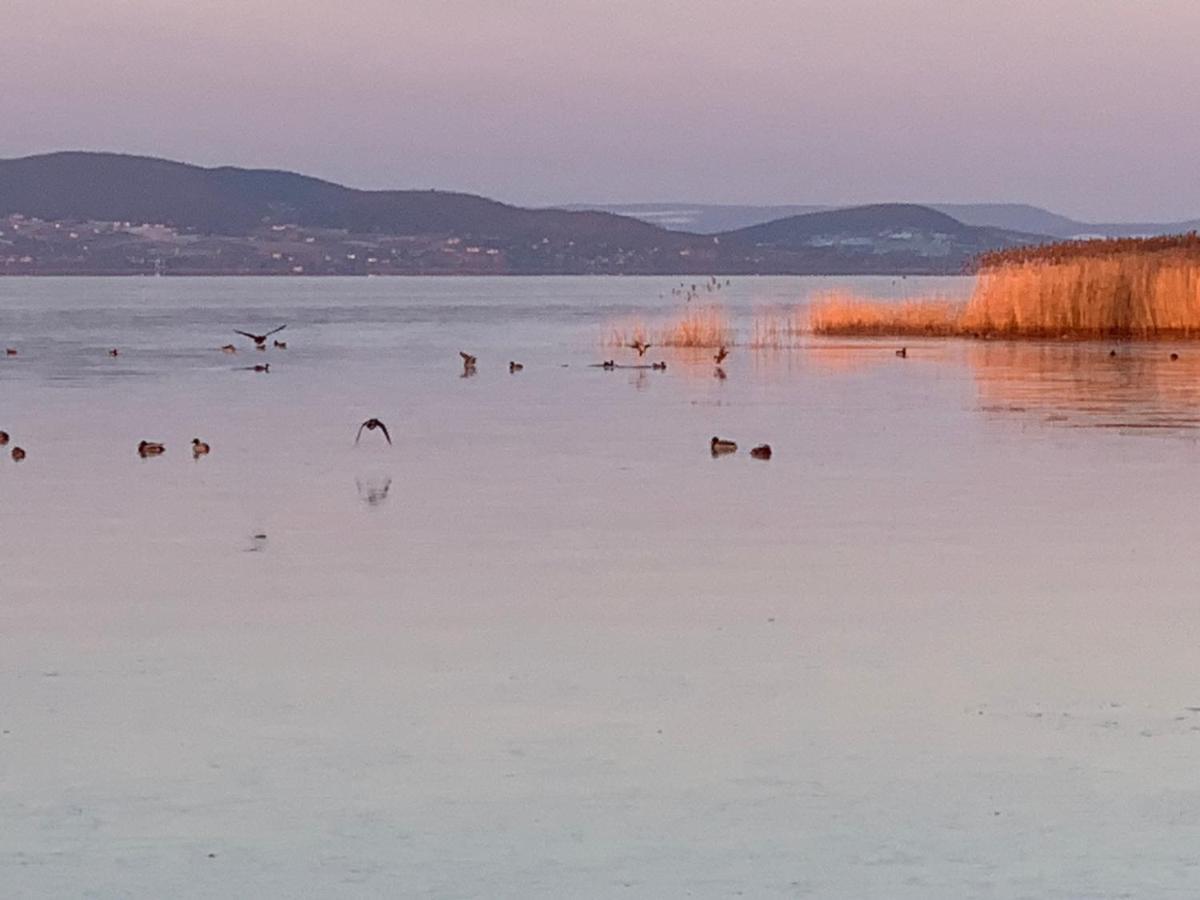 TópART Apartman I Balatonfenyves Exterior foto