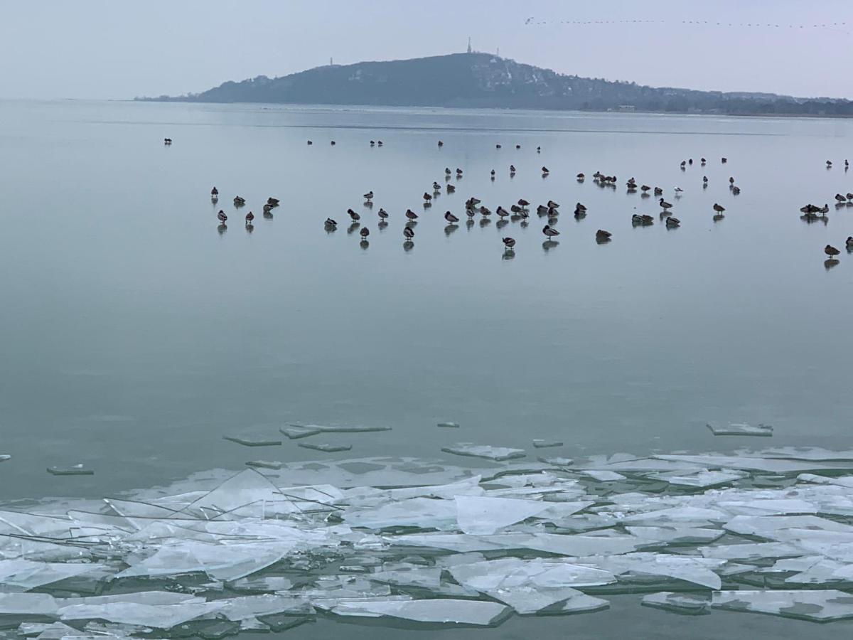 TópART Apartman I Balatonfenyves Exterior foto